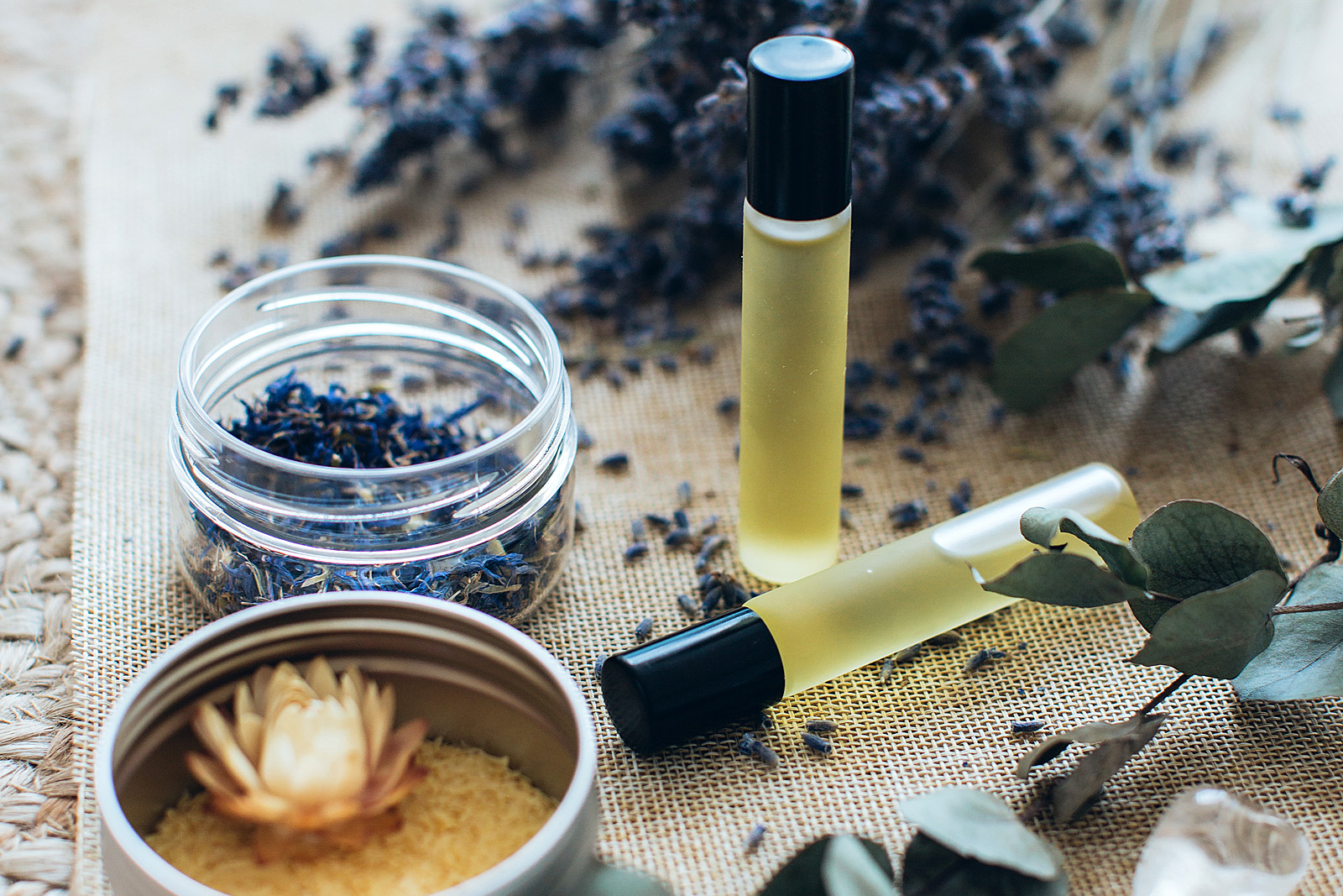 Read more about the article Back to Nature Essential Wellness Class