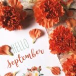 News Release – September 2025