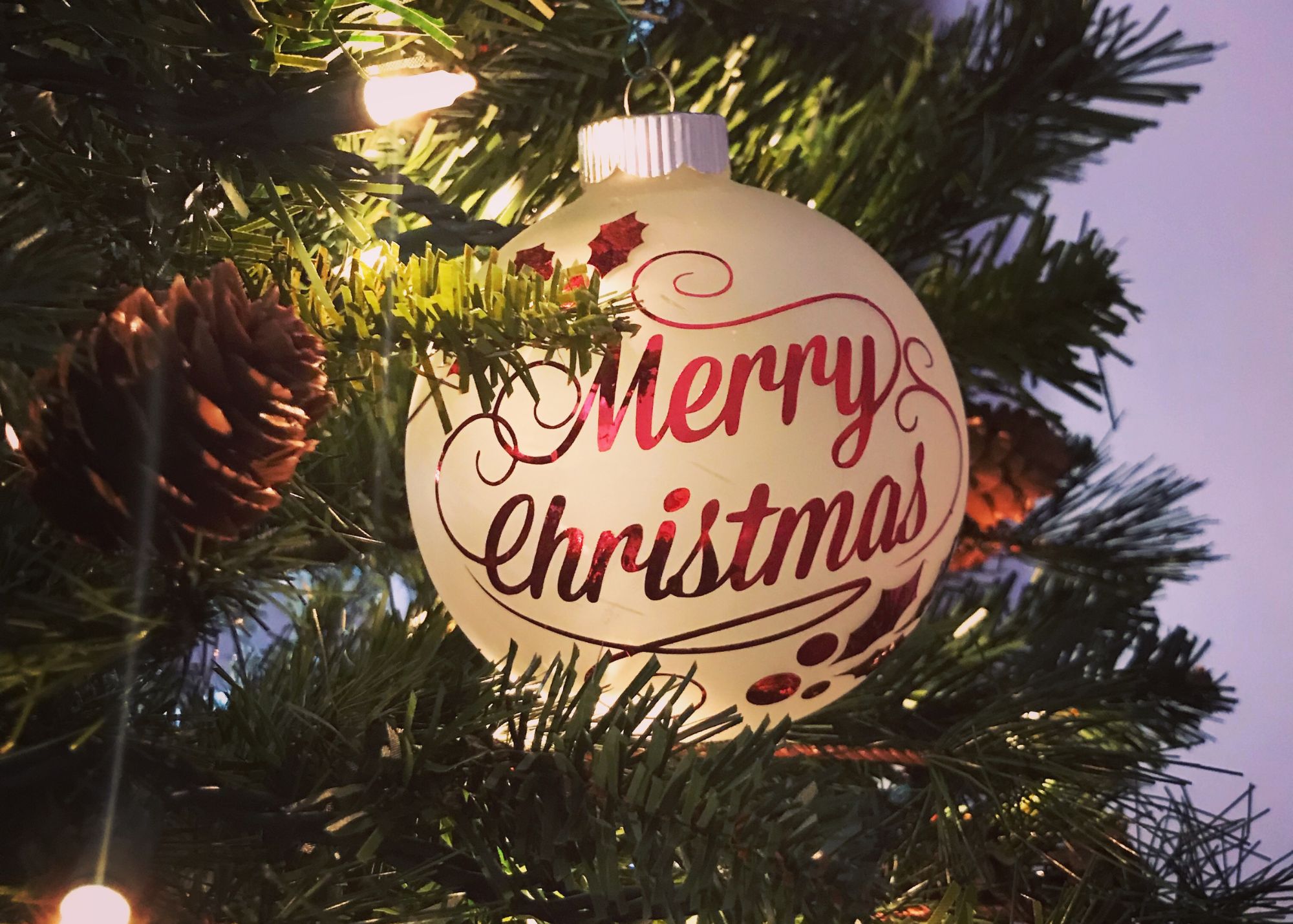 Read more about the article News Release – December 2025