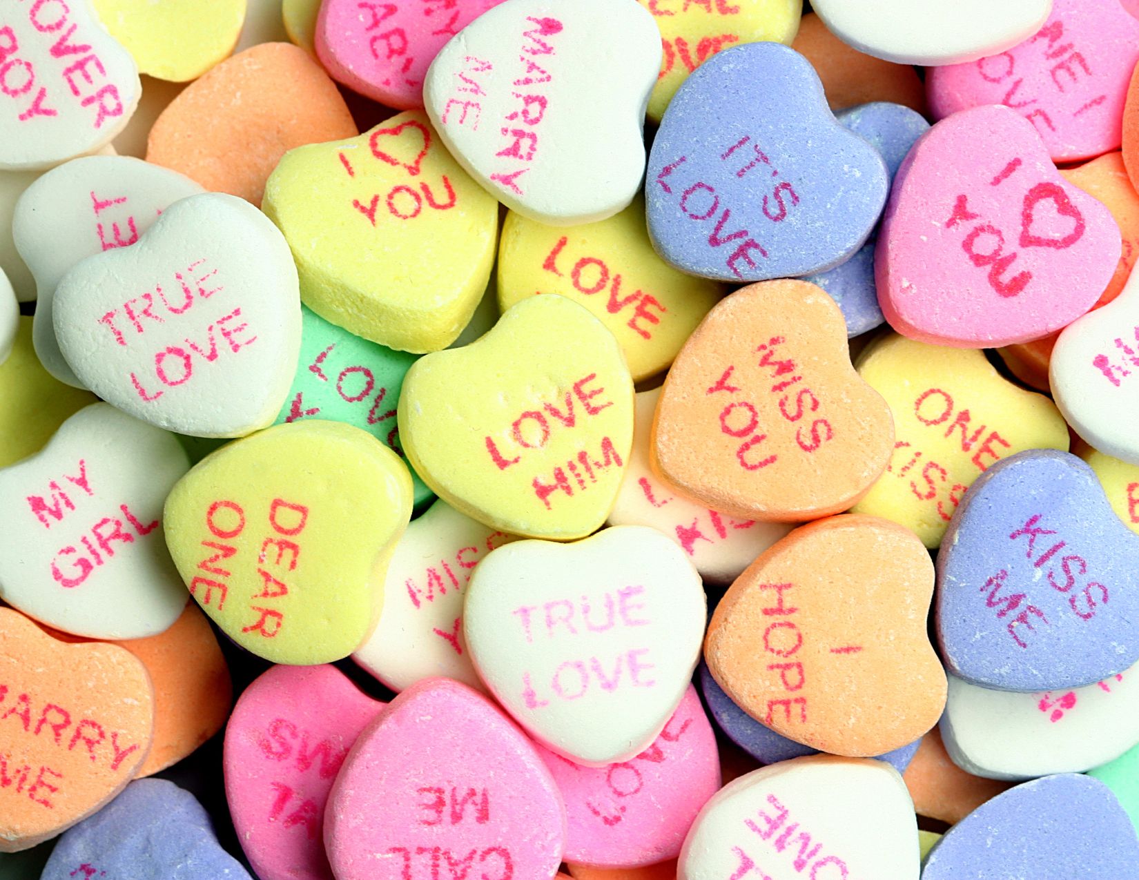 Read more about the article News Release – February 2026