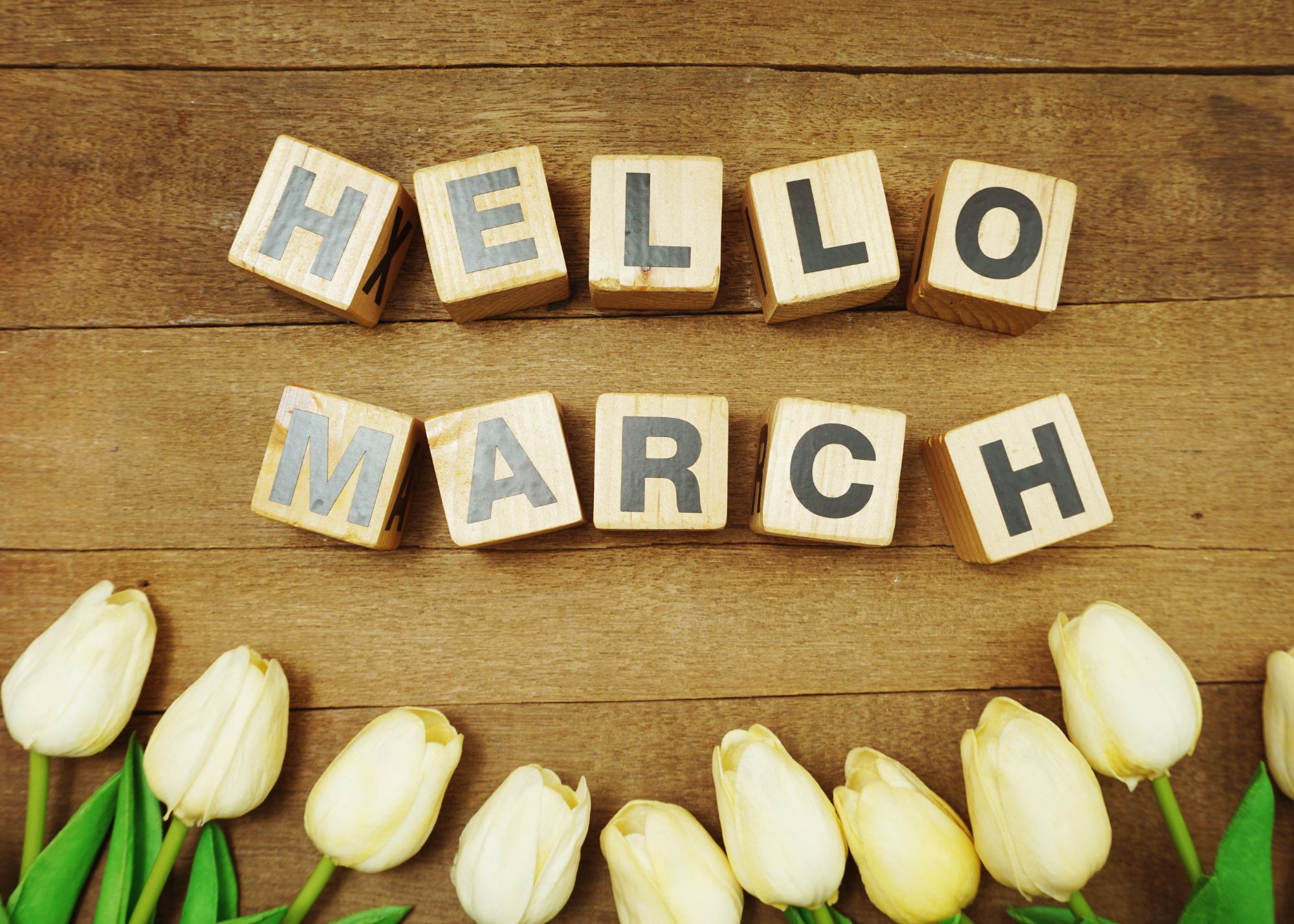 Read more about the article News Release – March 2026