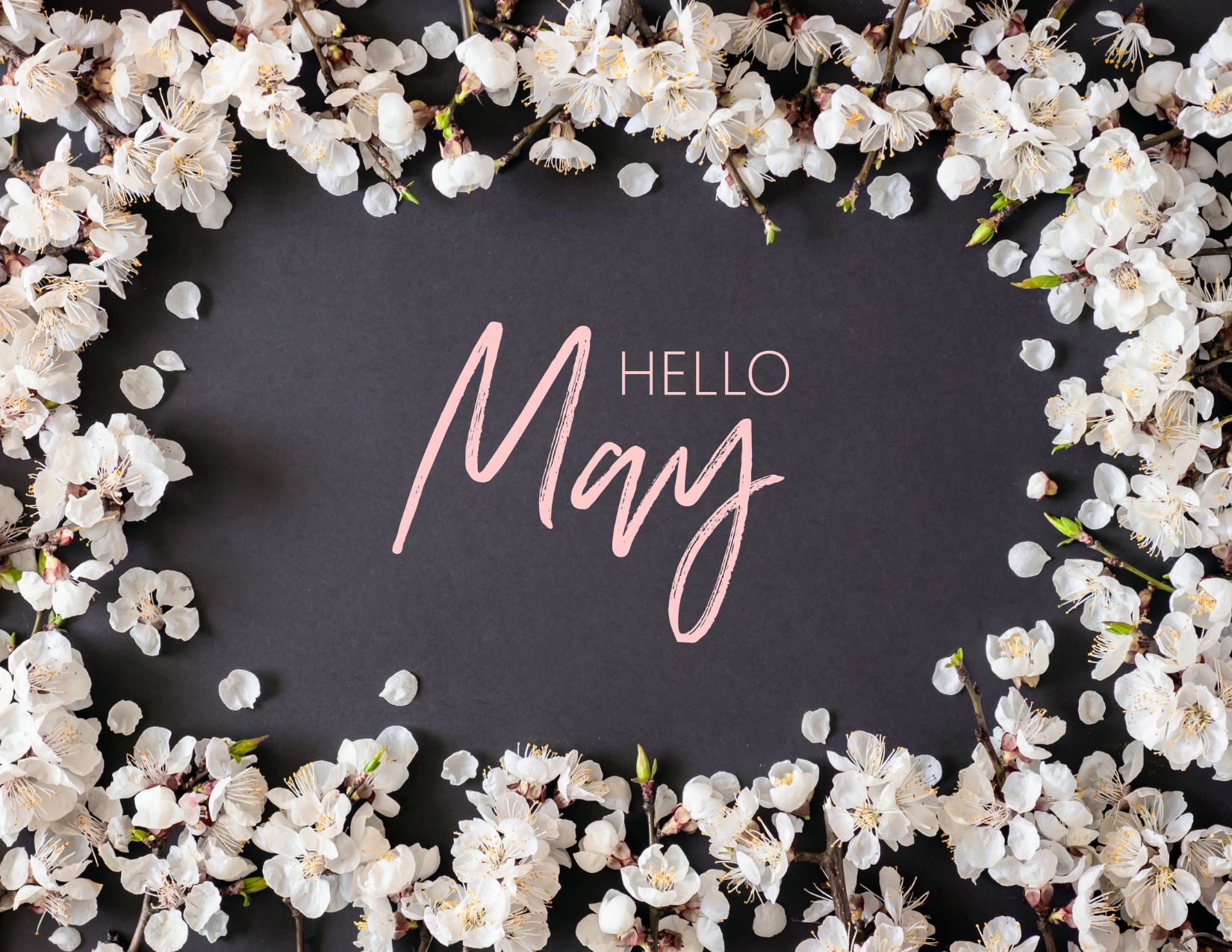 Read more about the article News Release – May 2026