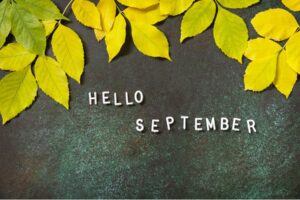 Read more about the article News Release – September 2026