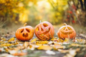 Read more about the article News Release – October 2026